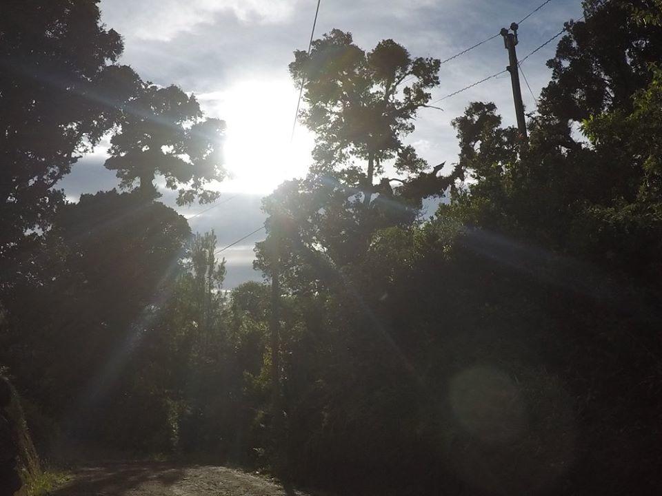 De Montaña La Magnolia, Cerro De La Muerte De La Cañuela Cloud Forest Chalet *