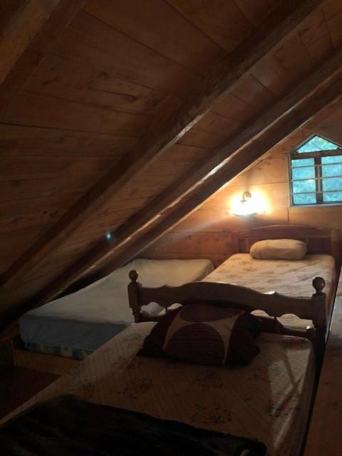 Chalet De Montana La Magnolia, Cerro De La Muerte De La Canuela Cloud Forest