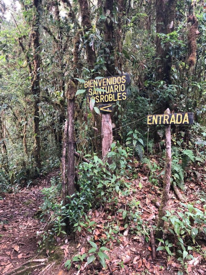 Chalet De Montana La Magnolia, Cerro De La Muerte De La Canuela Cloud Forest Tres de Junio