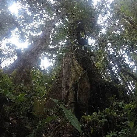 Cabana De Montana La Magnolia, Cerro De La Muerte De La Canuela Cloud Forest Tres de Junio Exterior photo