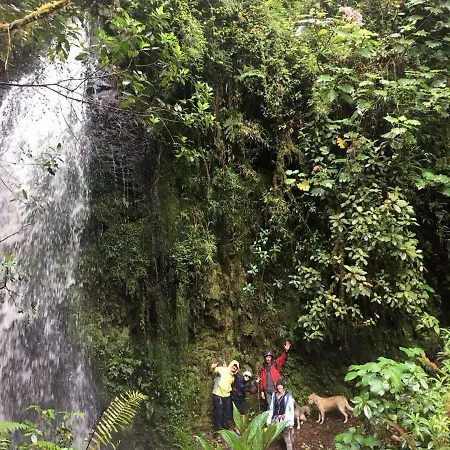 Cabana De Montana La Magnolia, Cerro De La Muerte De La Canuela Cloud Forest Tres de Junio Exterior photo