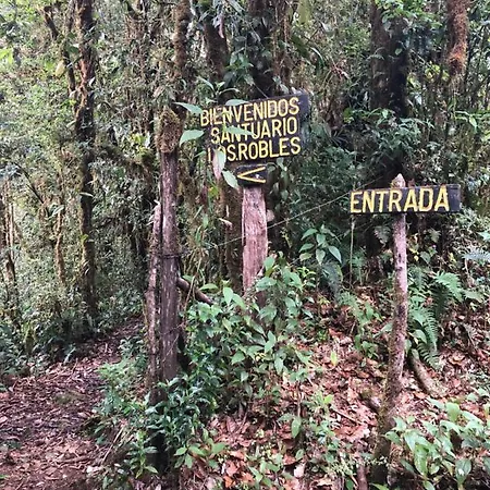 Cabana De Montana La Magnolia, Cerro De La Muerte De La Canuela Cloud Forest Tres de Junio Exterior photo